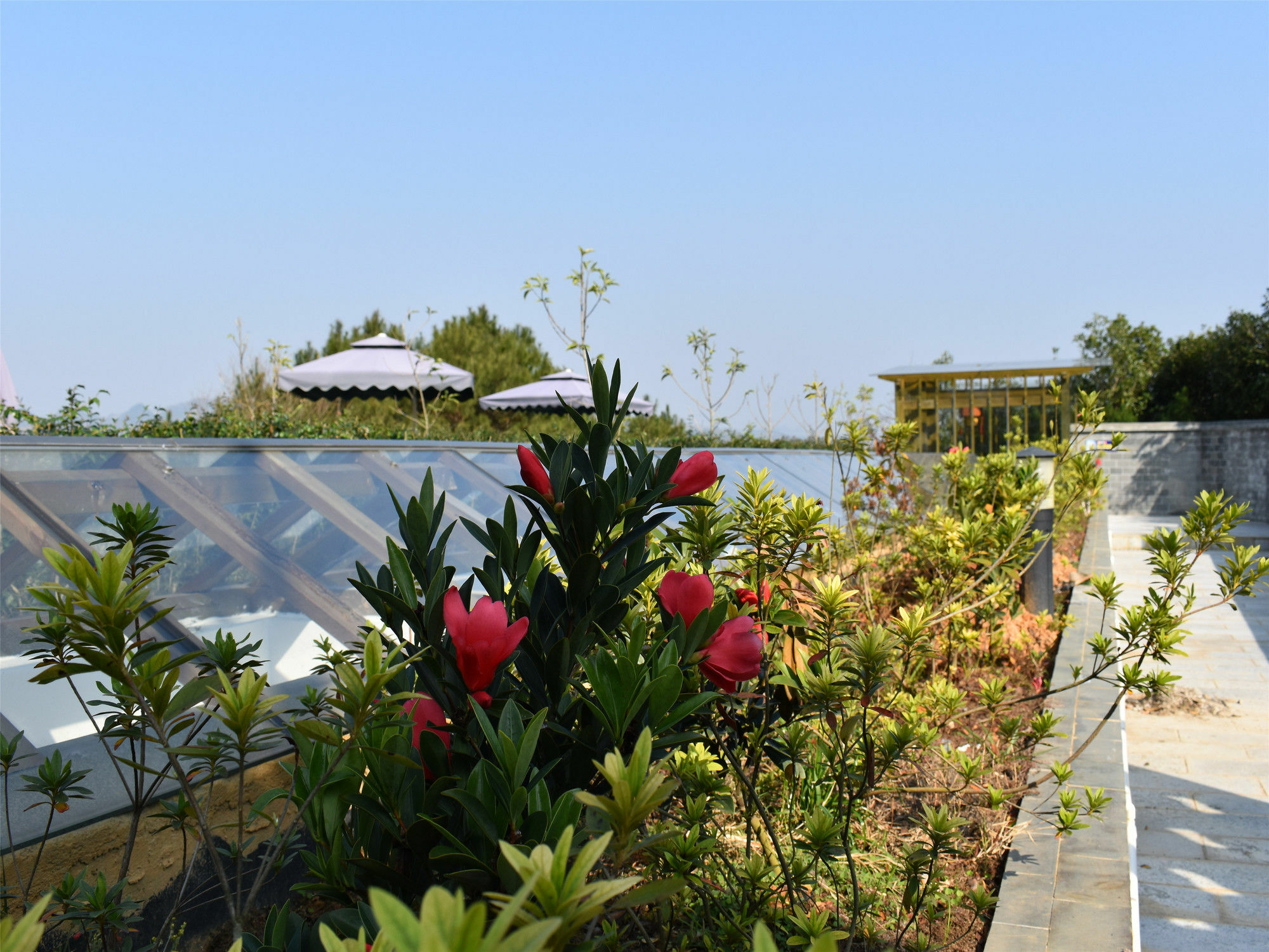 Yangshuo Mountain Top Retreat Esterno foto